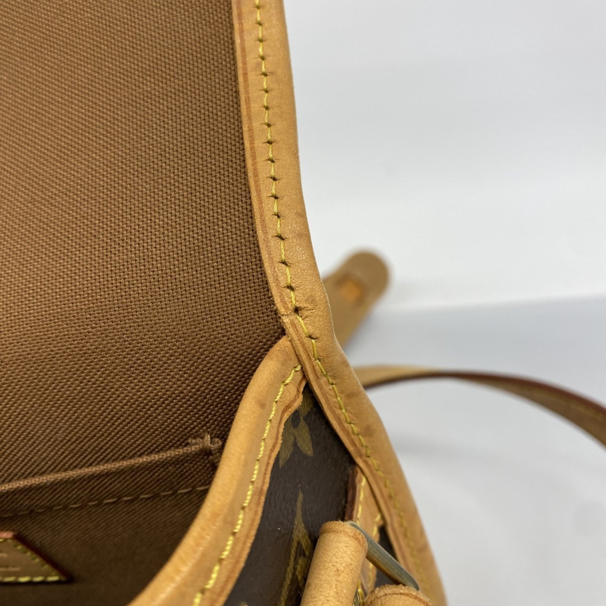 Sologne Handbag Monogram Canvas
