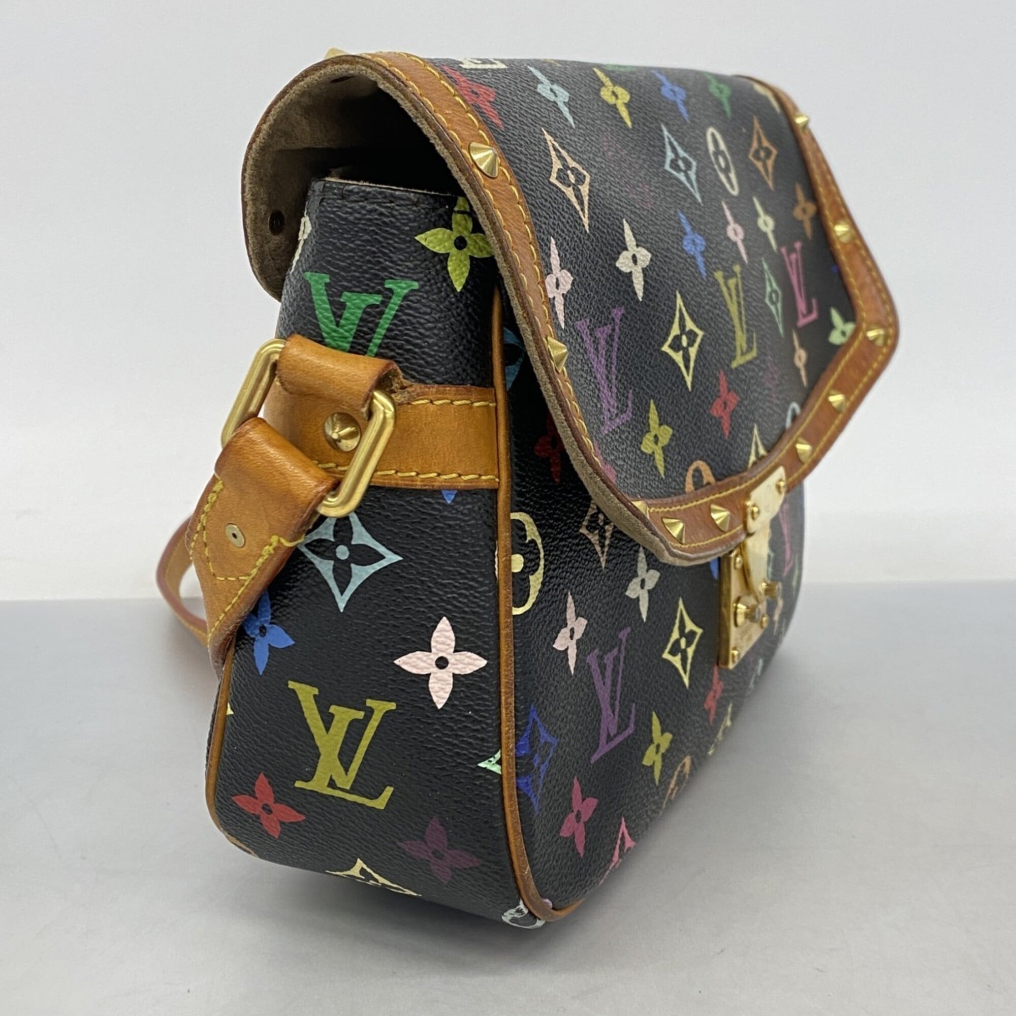 Sologne Handbag Monogram Multicolor