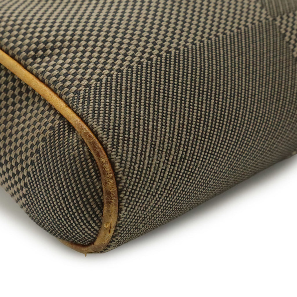 Louis Vuitton Damier Geant Earth Damier Geant Sling Bag (Pre-Owned)