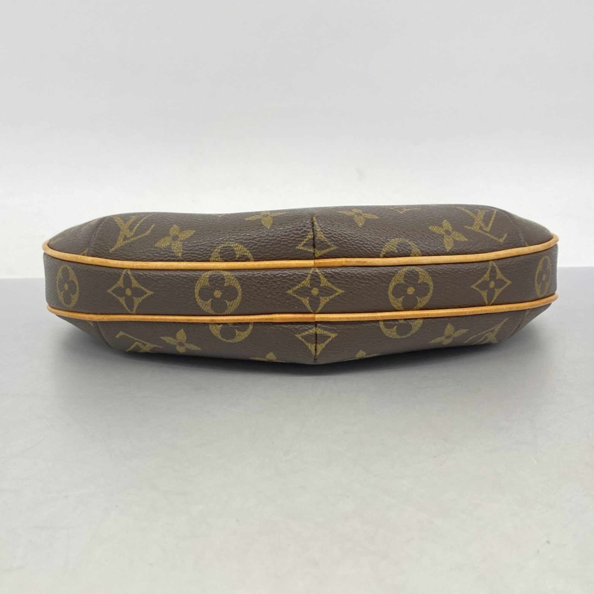 Croissant Handbag Monogram Canvas PM