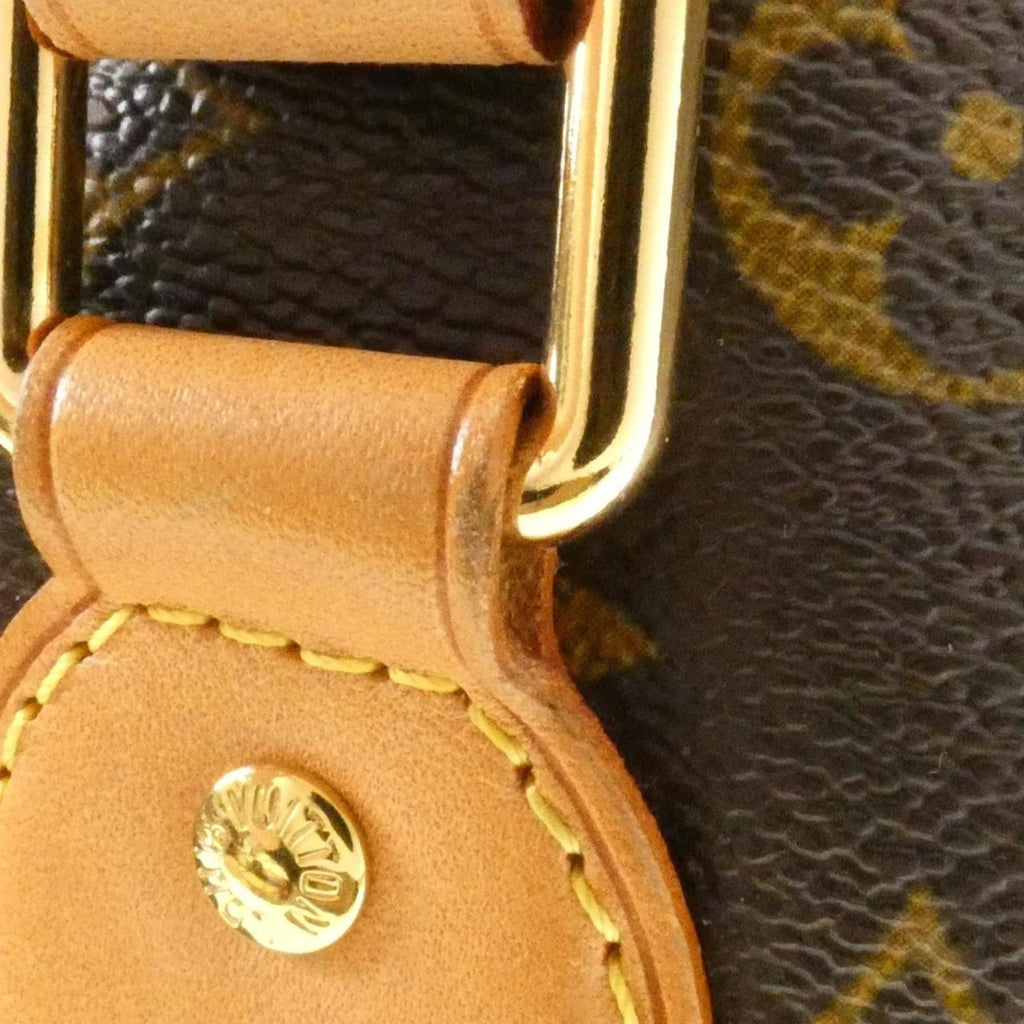Louis Vuitton Marron Coated Canvas Handbag (Pre-Owned)