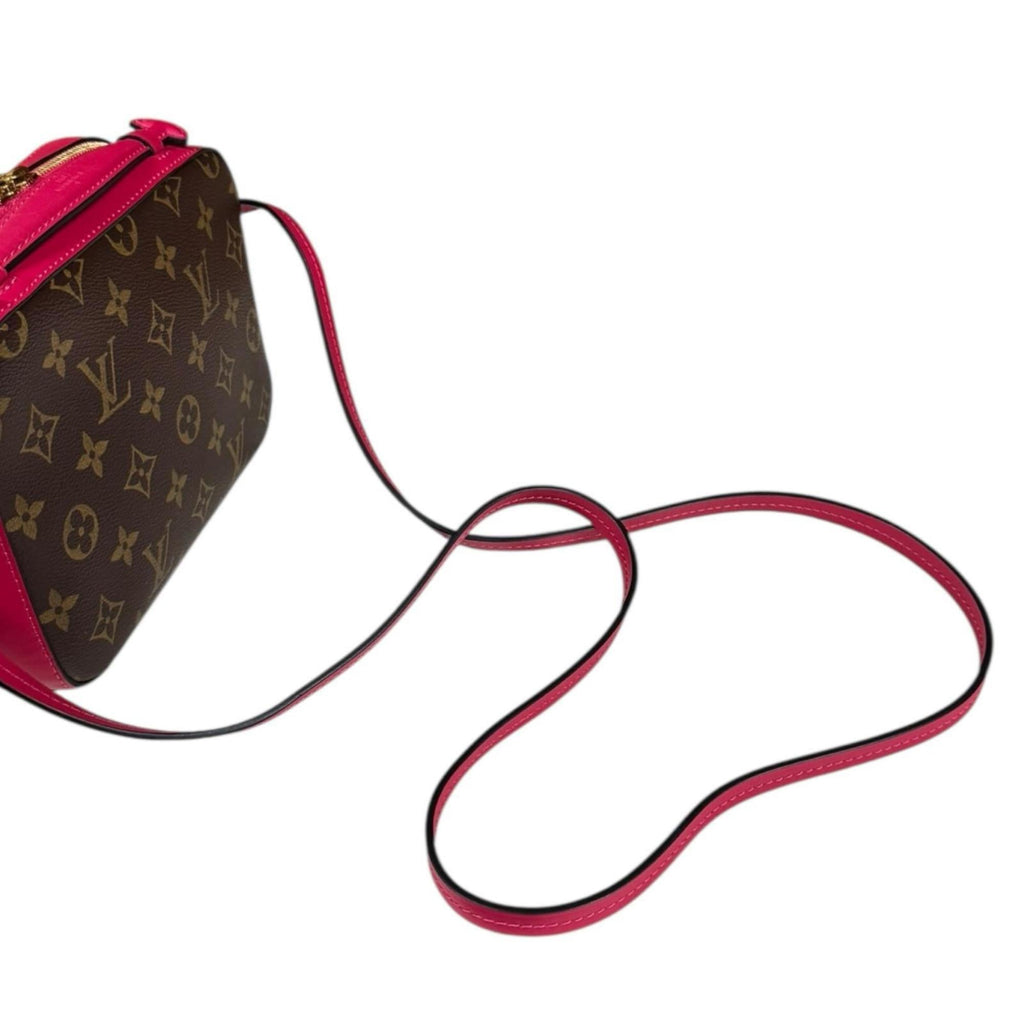 Louis Vuitton Monogram Brown Freesia Monogram Monogram Shoulder Bag (Pre-Owned)