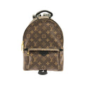Louis Vuitton Brown Coated Canvas Backpack (Pre-Owned)