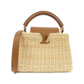 Louis Vuitton Brown Natural Rattan Leather Handbag (Pre-Owned)