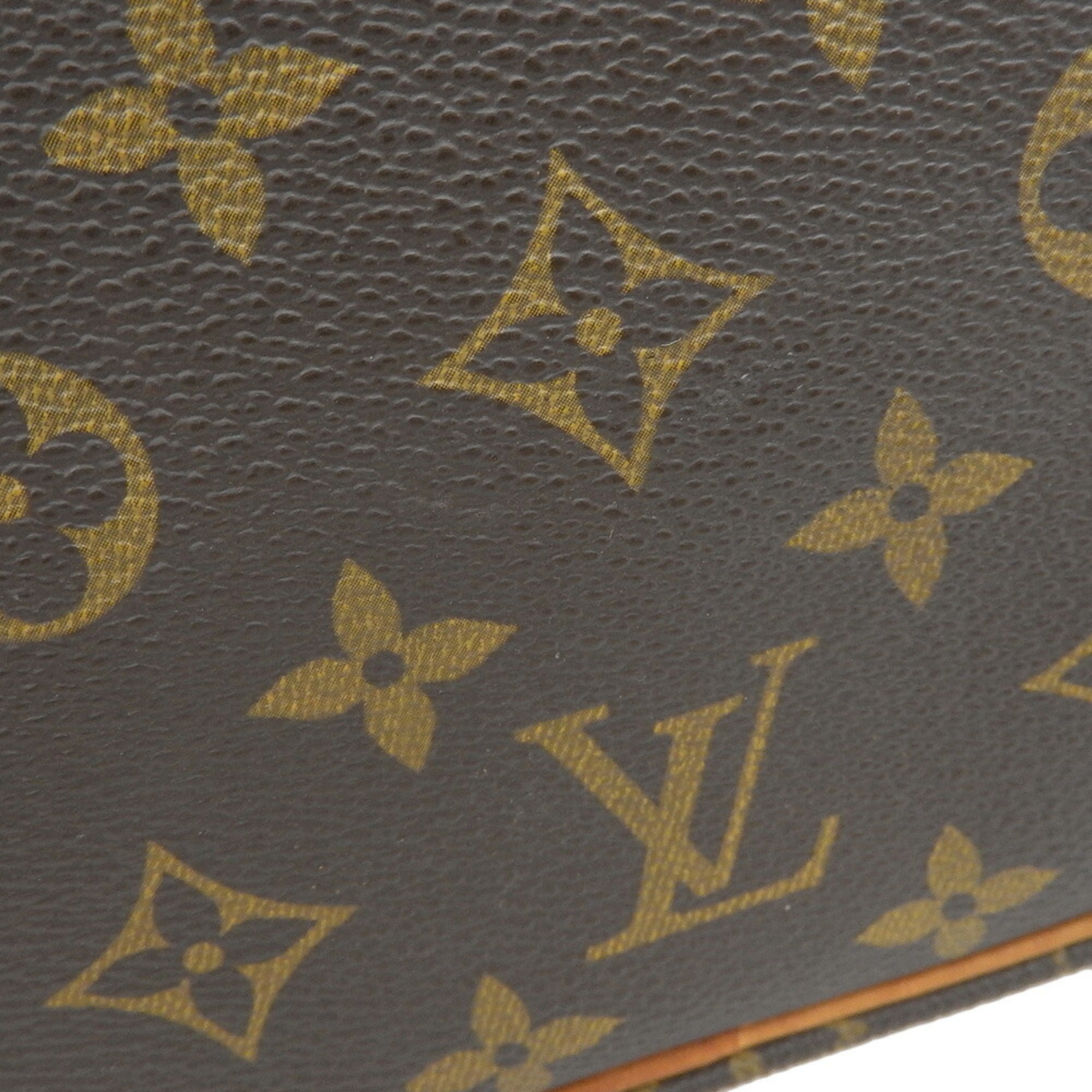 Trocadero Handbag Monogram Canvas 30