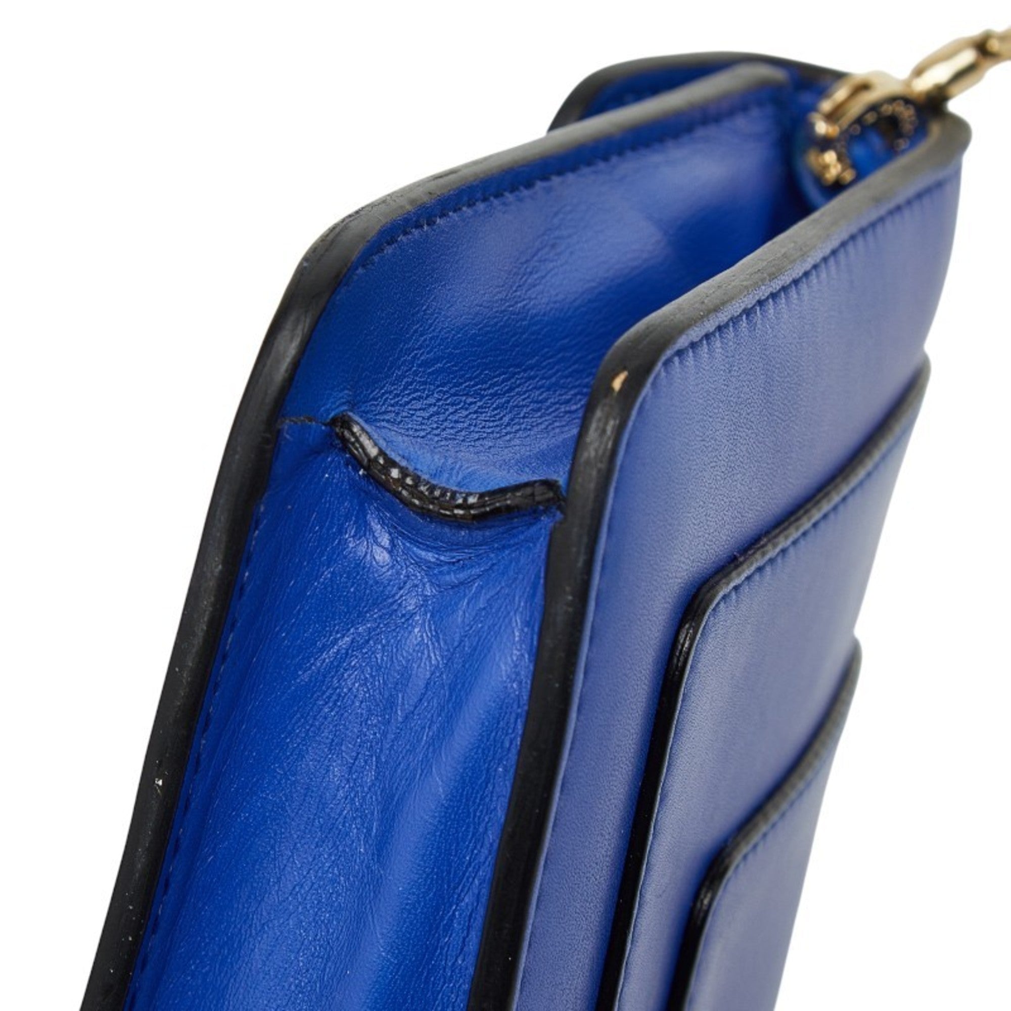 Serpenti Forever Chain Clutch Leather