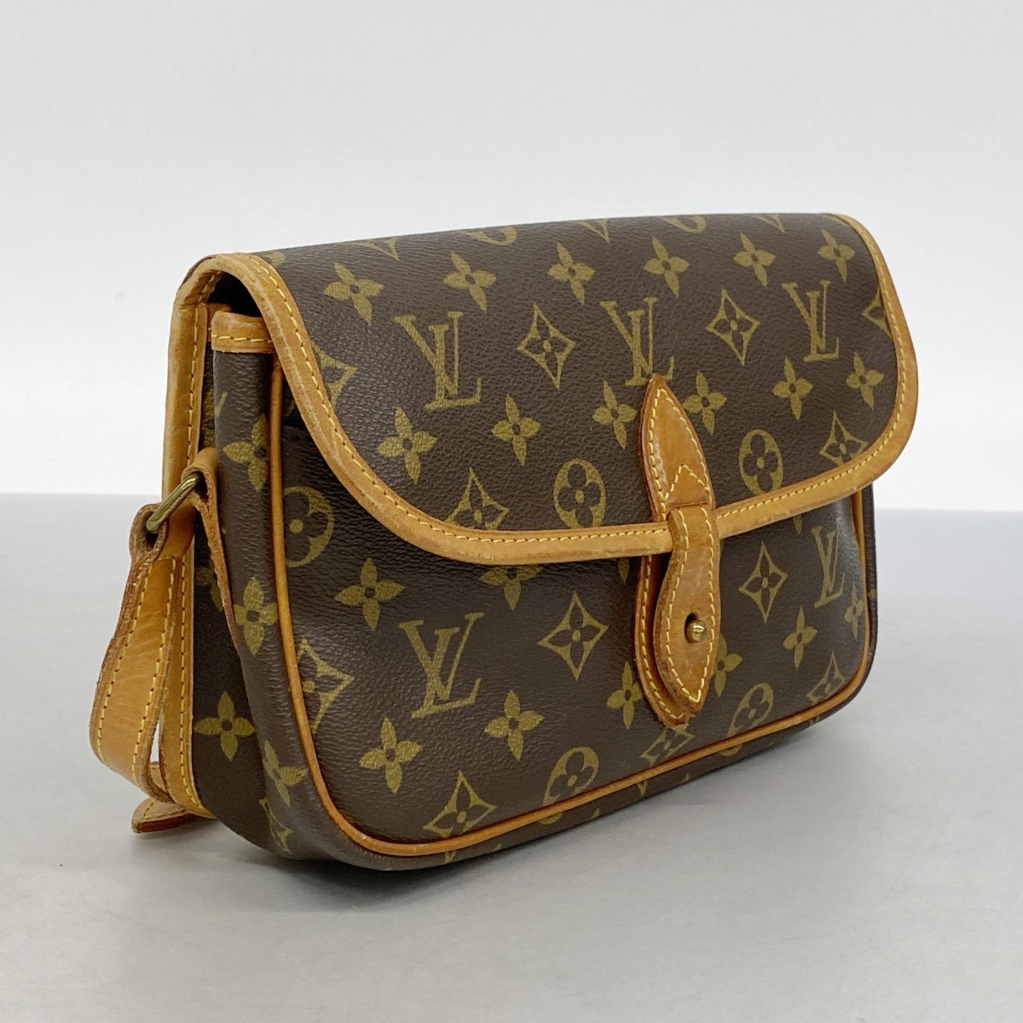 Sologne Handbag Monogram Canvas