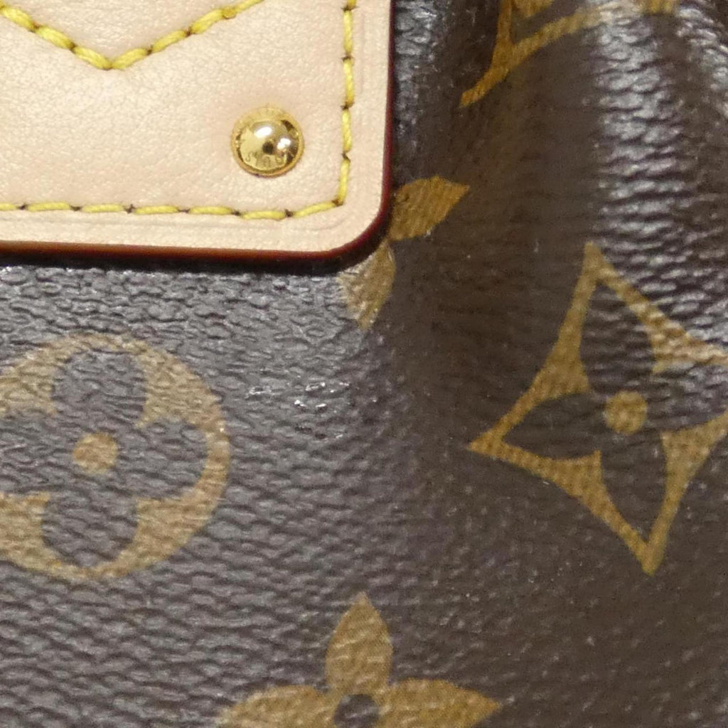 Louis Vuitton Monogram Marron Monogram Monogram Handbag (Pre-Owned)