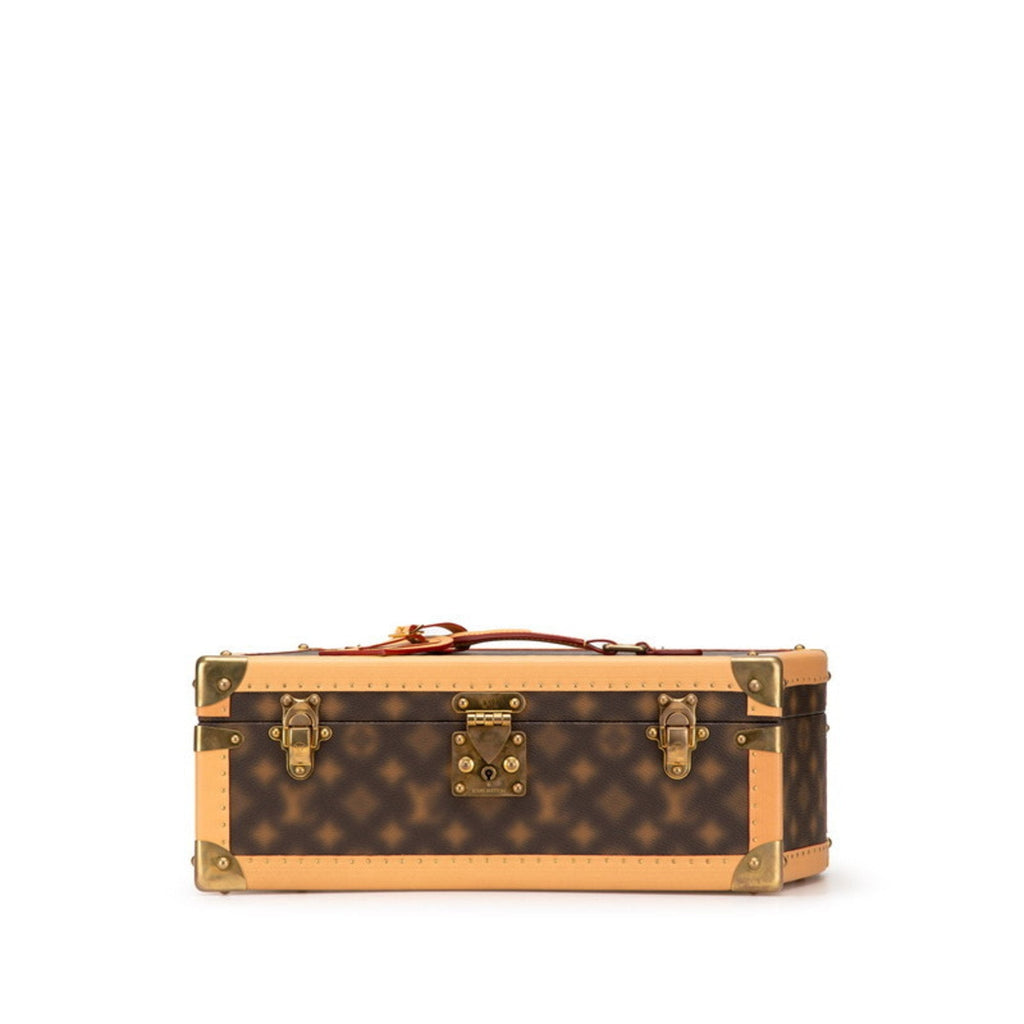 Louis Vuitton Brown Pvc Leather Handbag (Pre-Owned)