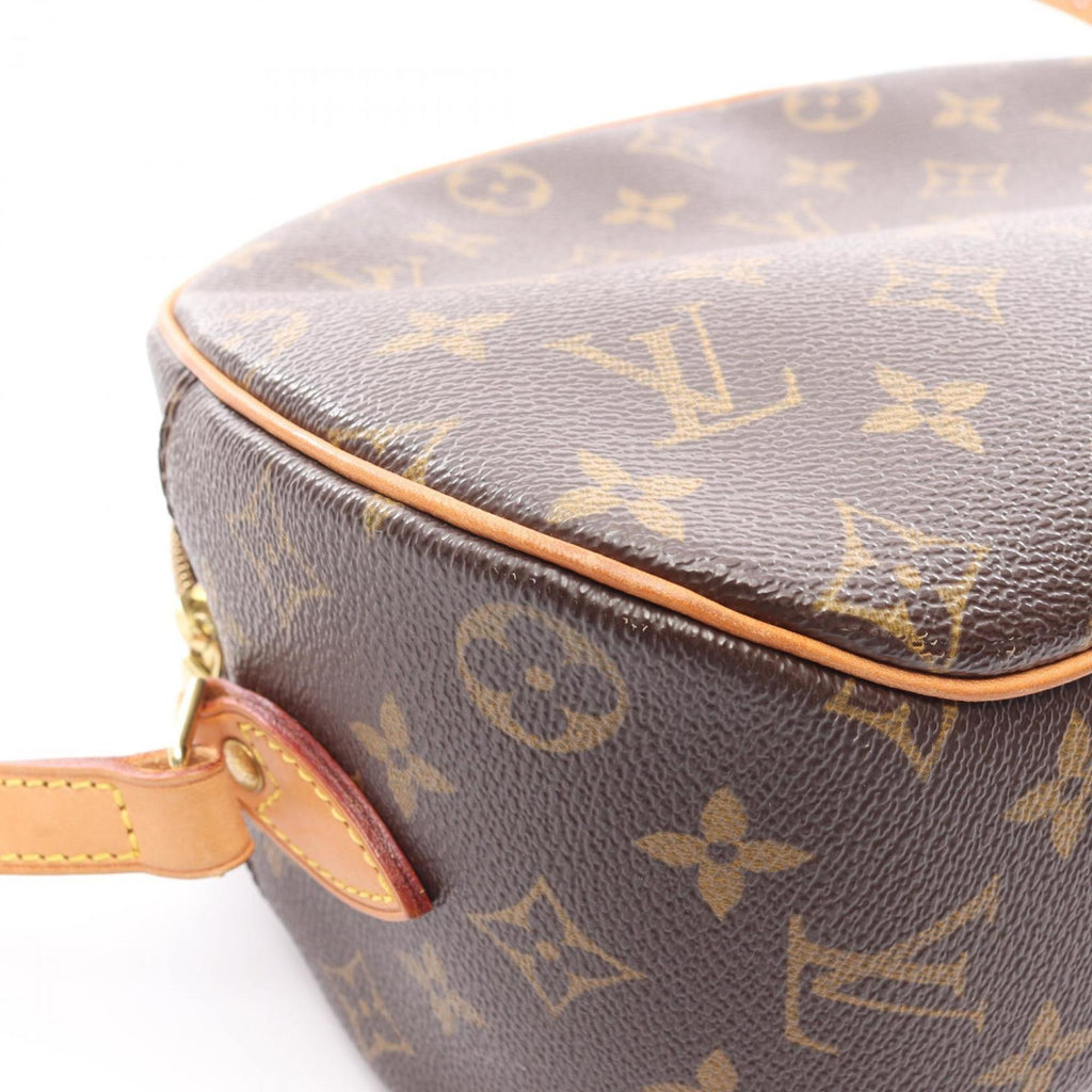 Louis Vuitton Brown Coated Canvas Pvc Monogram Leather Shoulder Bag (Pre-Owned)