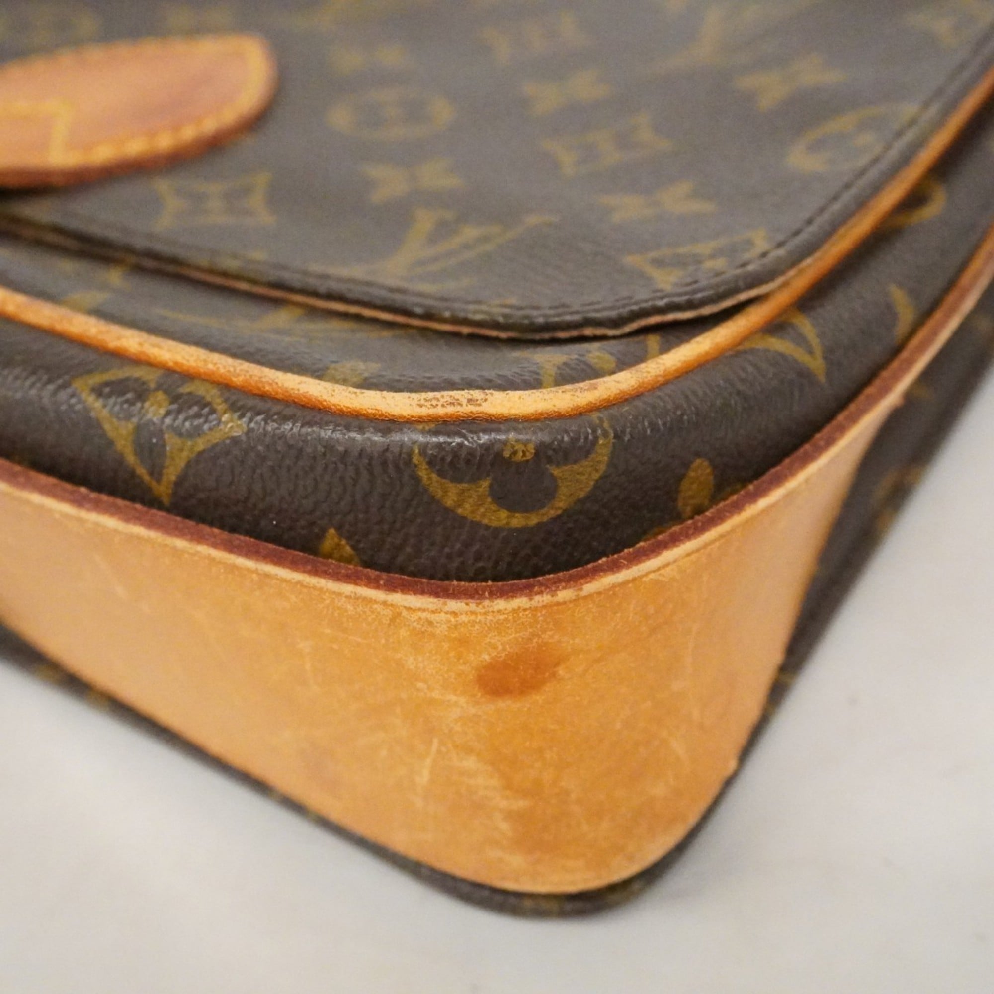 Cartouchiere Handbag Monogram Canvas GM