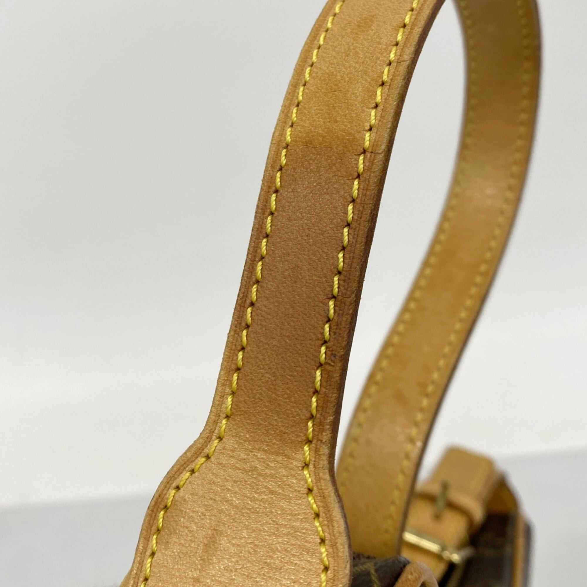Croissant Handbag Monogram Canvas PM