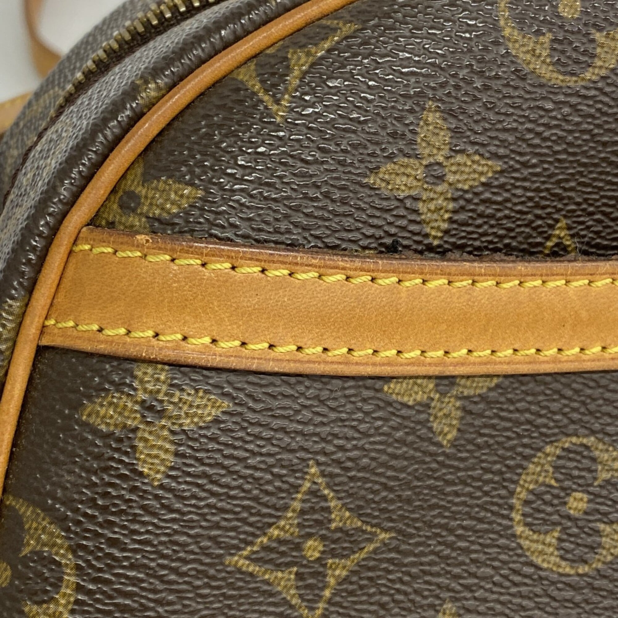 Blois Handbag Monogram Canvas