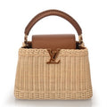 Louis Vuitton Handbag (Pre-Owned)