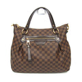 Evora Handbag Damier GM