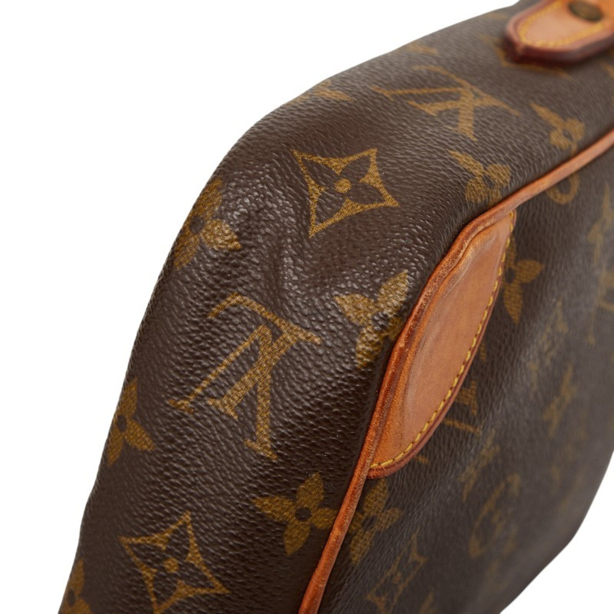 Danube Handbag Monogram Canvas