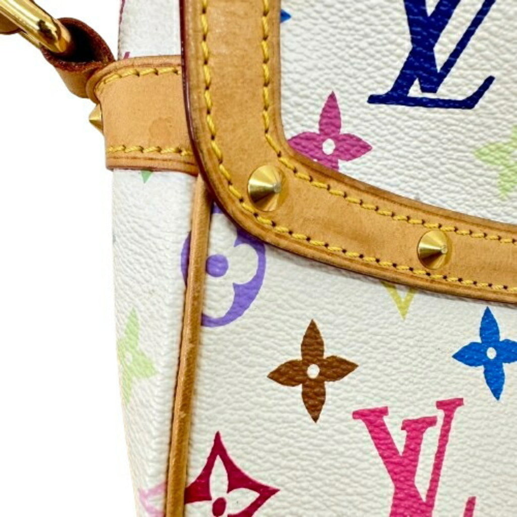 Sologne Handbag Monogram Multicolor