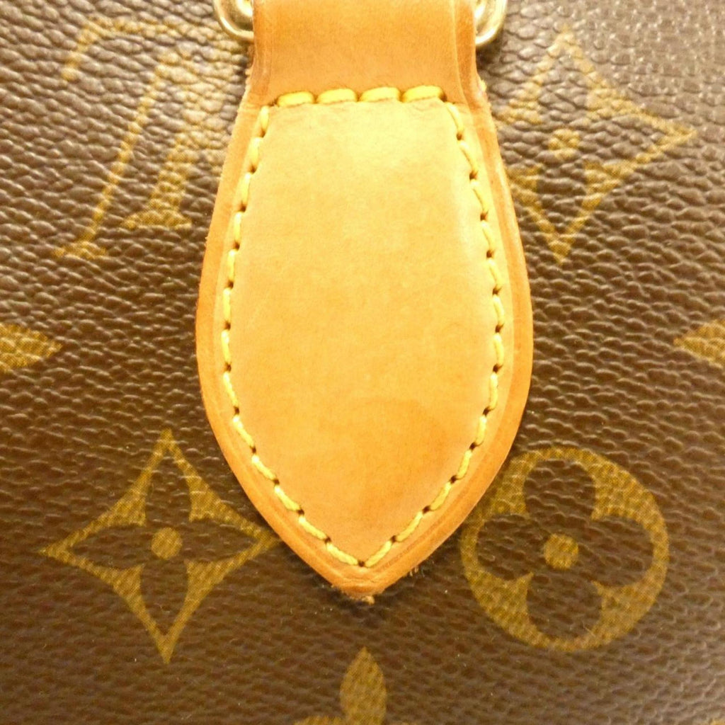 Louis Vuitton Brown Coated Canvas Handbag (Pre-Owned)
