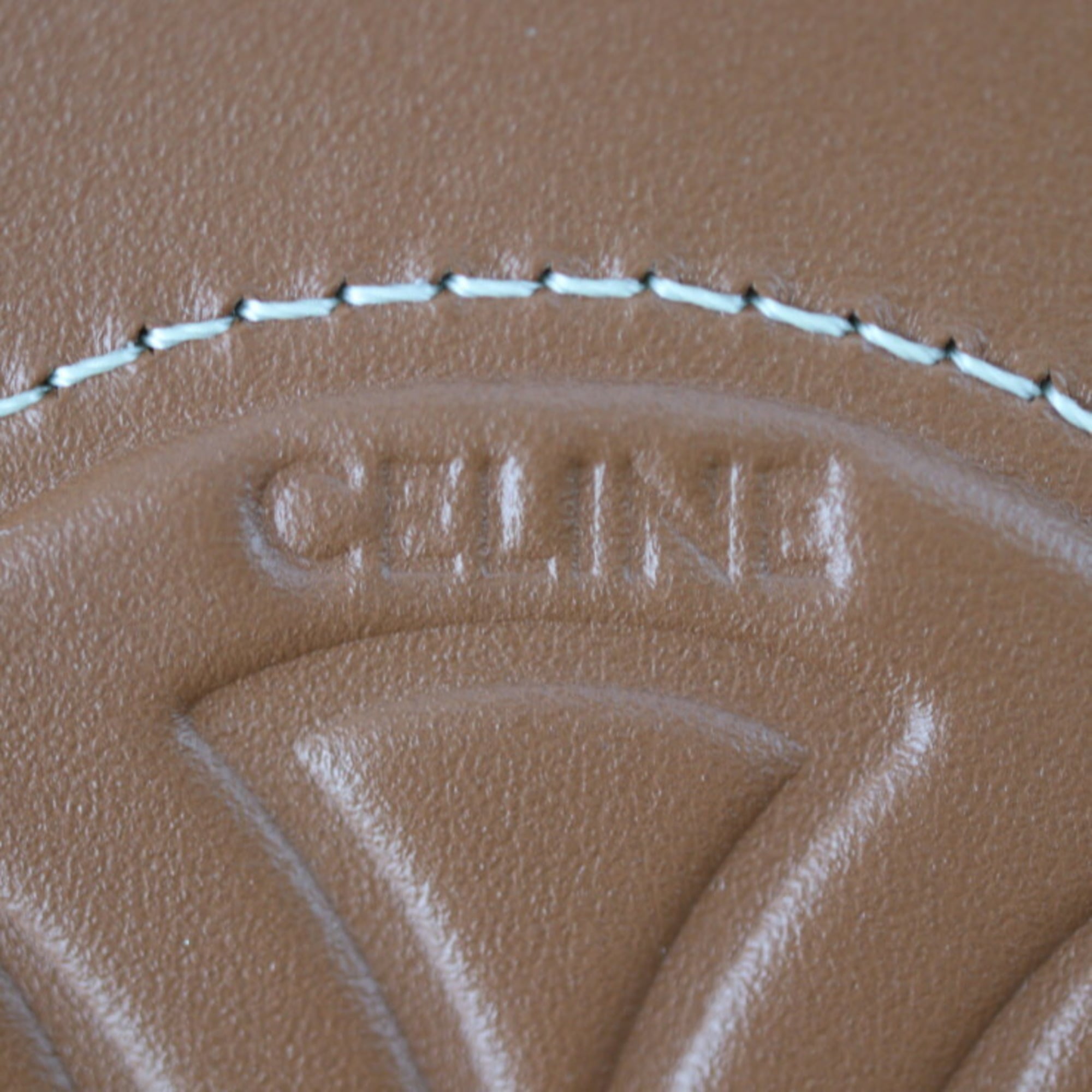 Triomphe Oval Crossbody Bag Leather