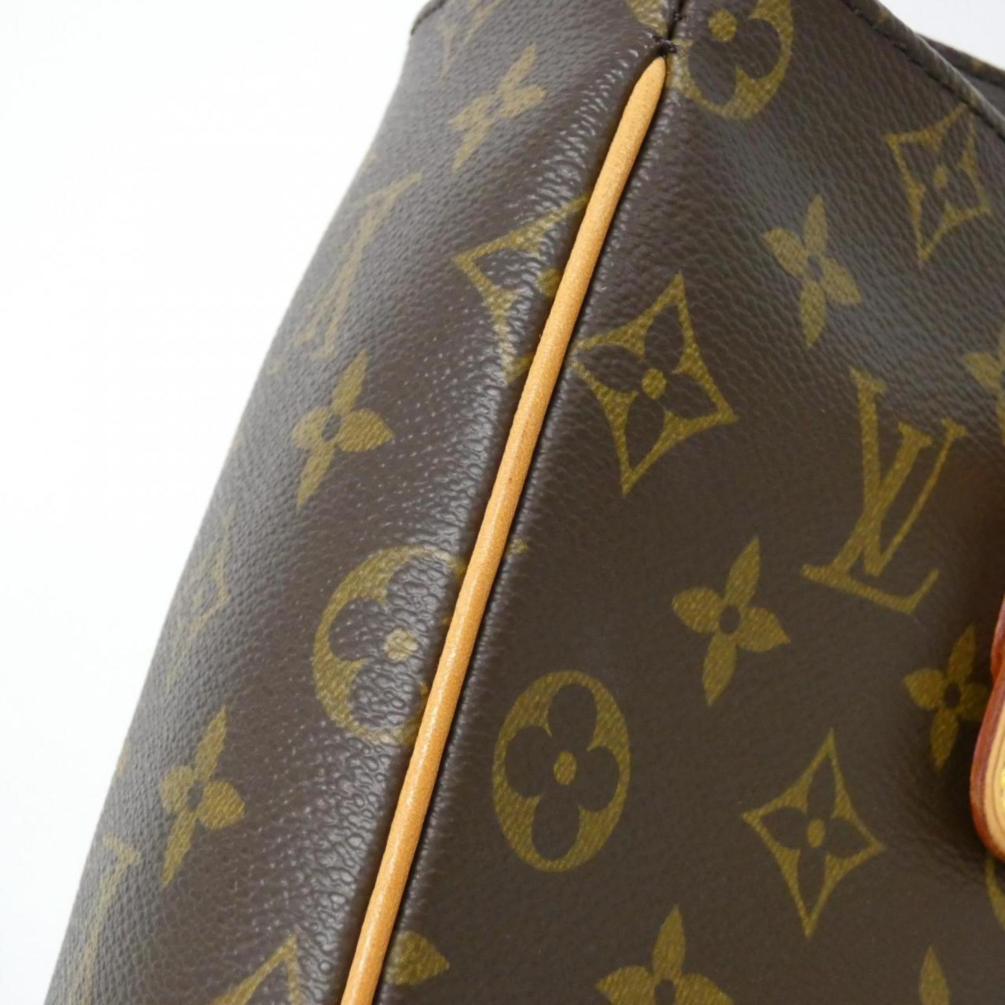Louis Vuitton Marron Coated Canvas Handbag (Pre-Owned)