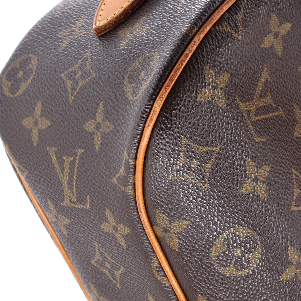 Blois Handbag Monogram Canvas