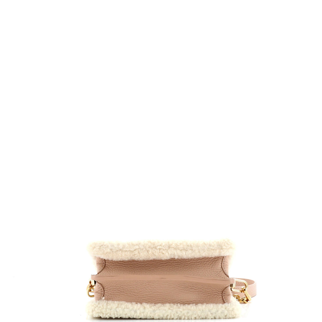 Dauphine Shoulder Bag Leather with Shearling Mini