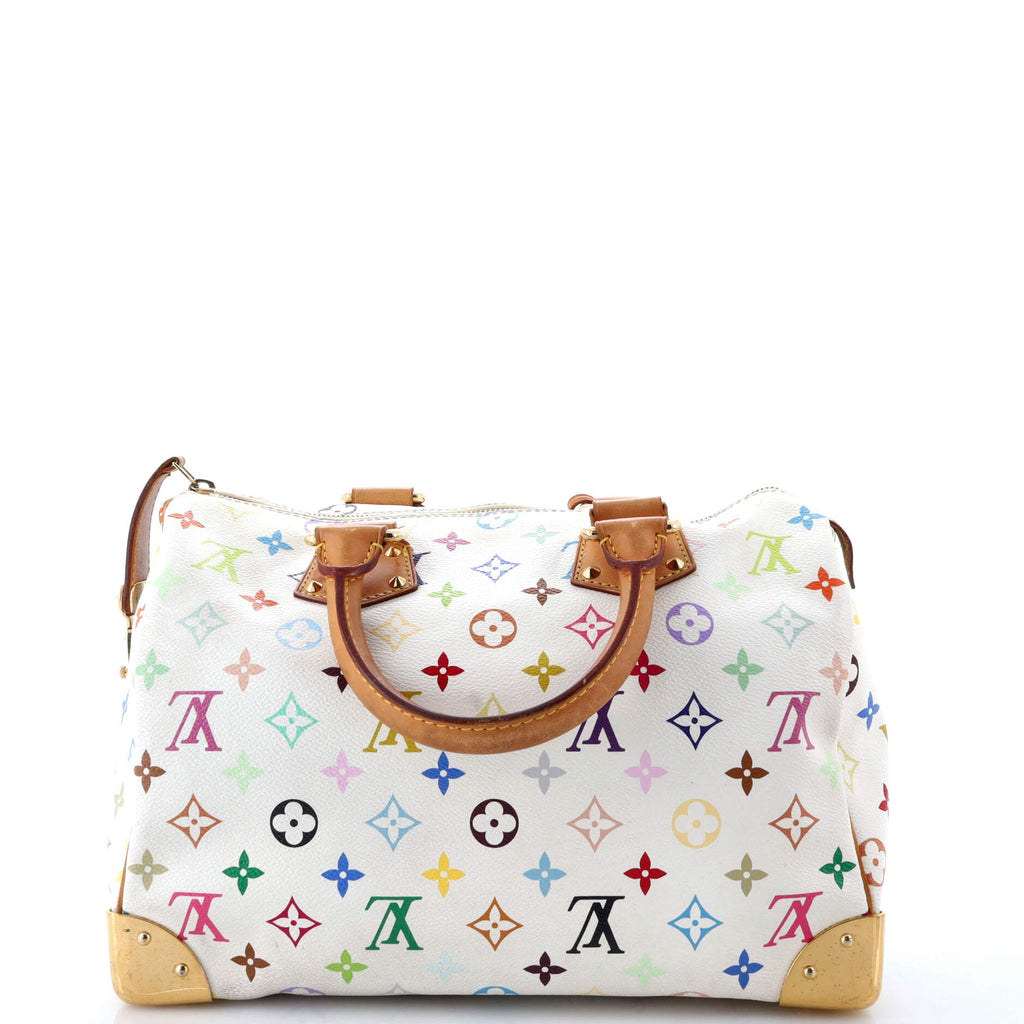 Speedy Handbag Monogram Multicolor 30