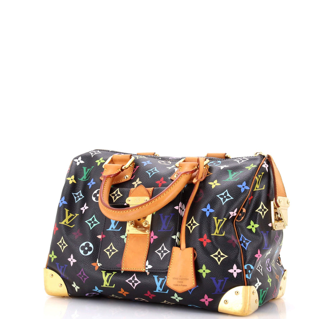 Speedy Handbag Monogram Multicolor 30