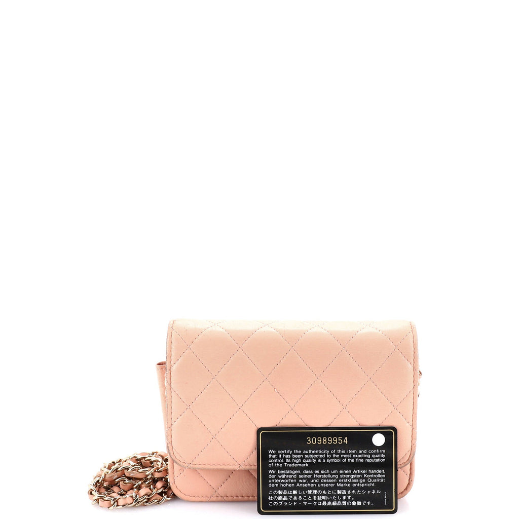 Wallet on Chain Quilted Lambskin Mini