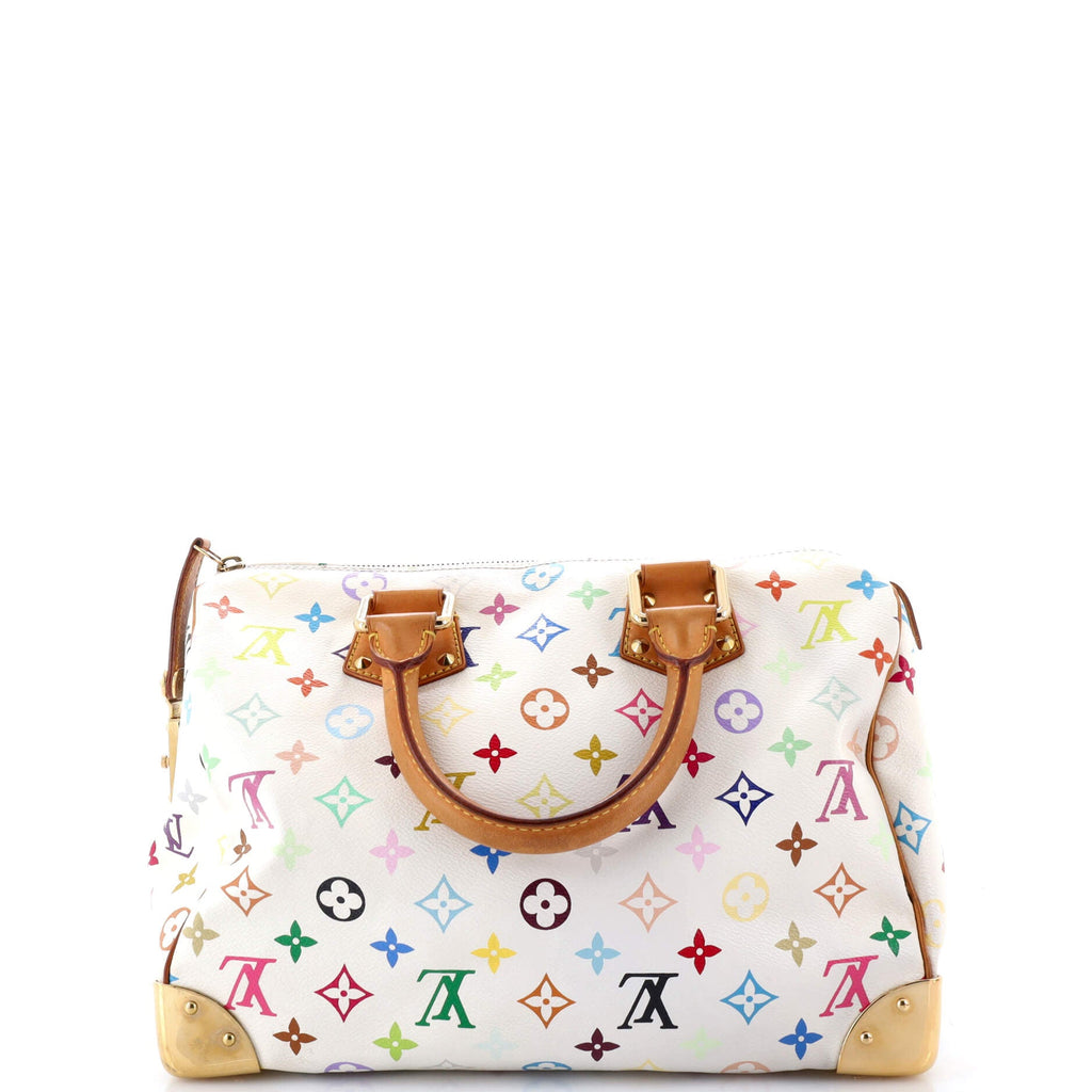 Speedy Handbag Monogram Multicolor 30