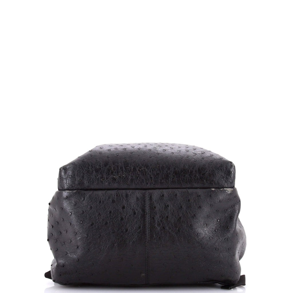 Discovery Backpack Ostrich PM