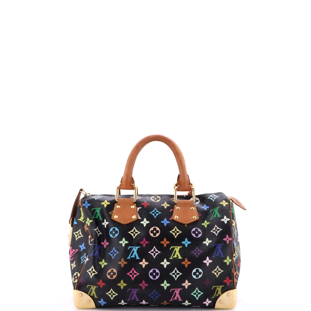 Speedy Handbag Monogram Multicolor 30