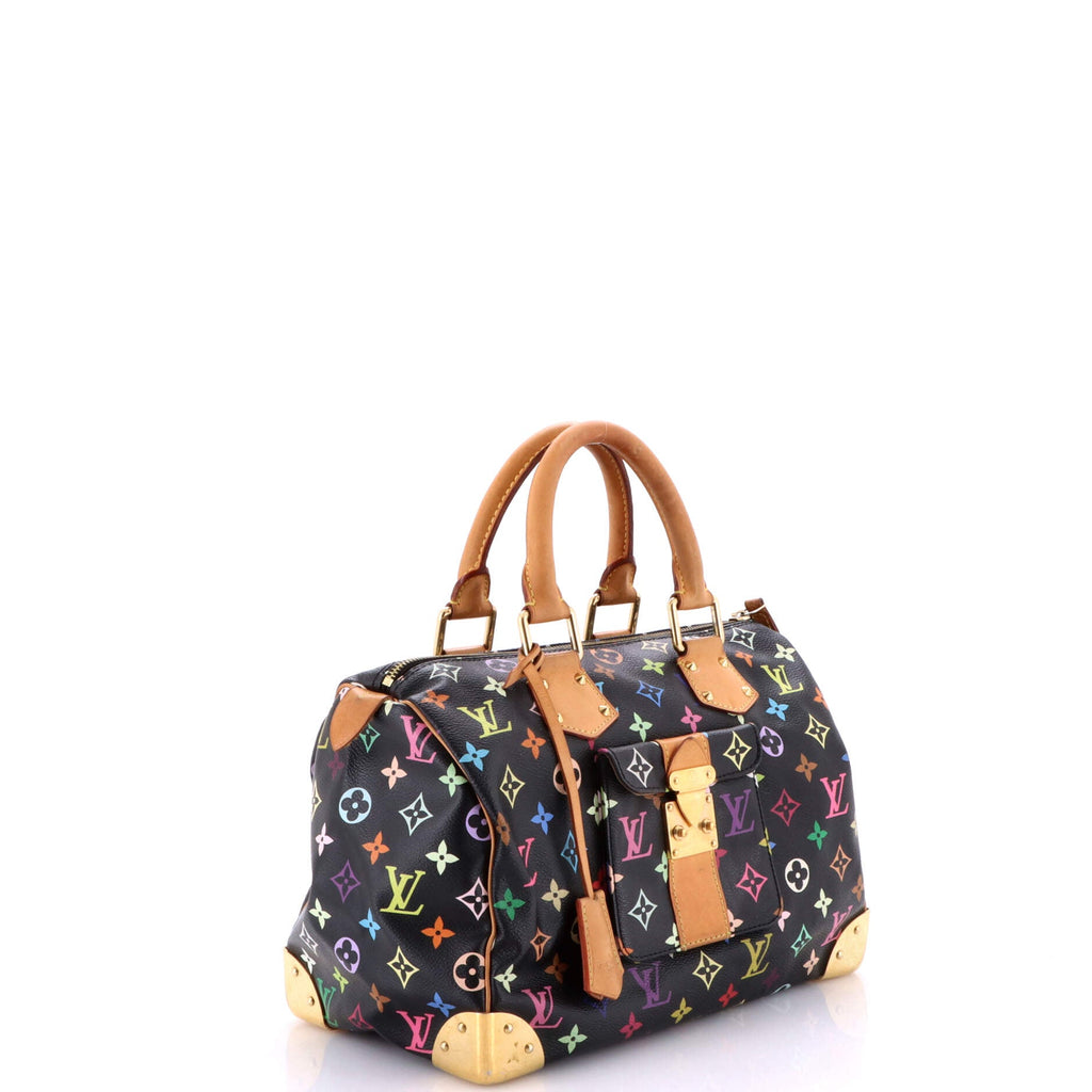 Speedy Handbag Monogram Multicolor 30