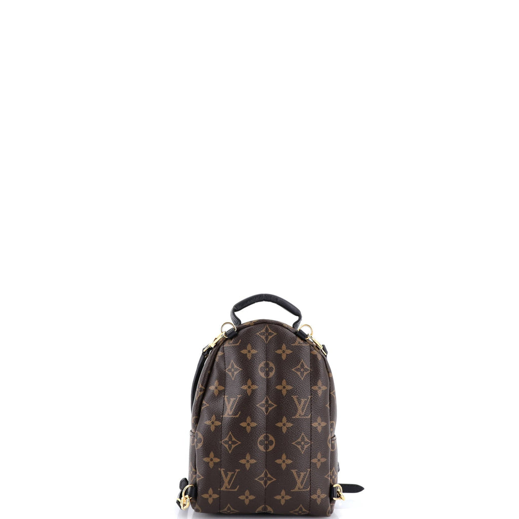 Palm Springs Backpack Monogram Canvas Mini