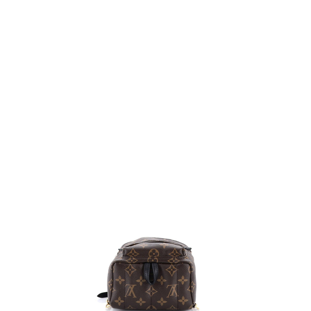 Palm Springs Backpack Monogram Canvas Mini