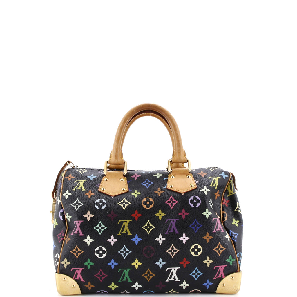 Speedy Handbag Monogram Multicolor 30