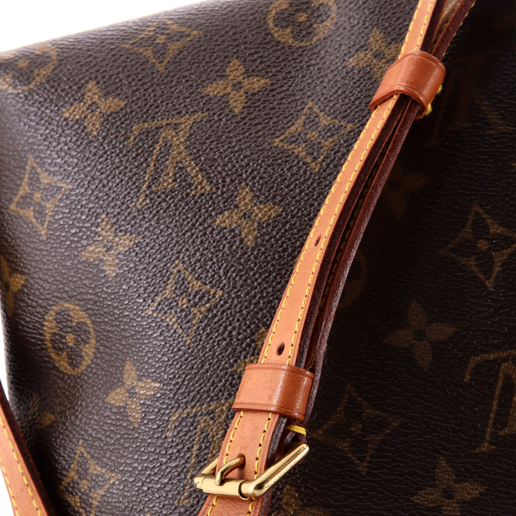 Musette Salsa Handbag Monogram Canvas PM