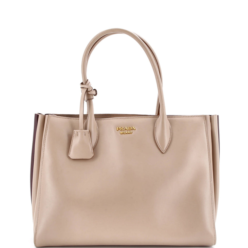 Soft Bibliotheque Tote City Calfskin Medium