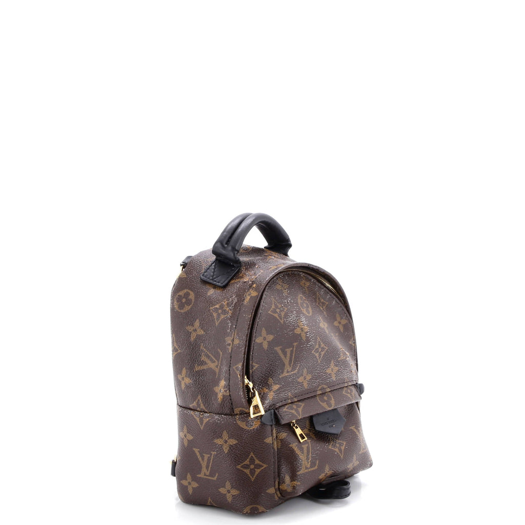 Palm Springs Backpack Monogram Canvas Mini