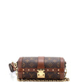 Papillon Trunk Bag Monogram Canvas