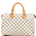 Speedy Handbag Damier 30