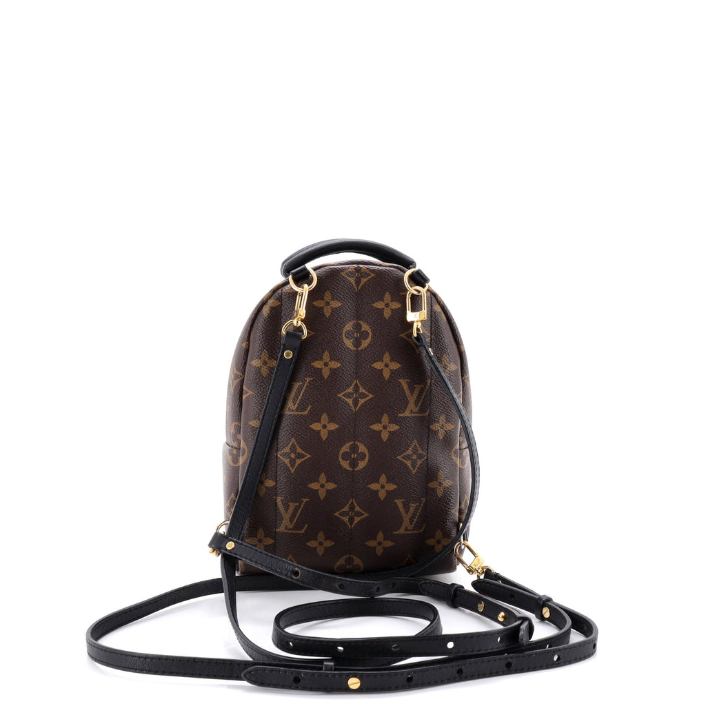 Palm Springs Backpack Monogram Canvas Mini