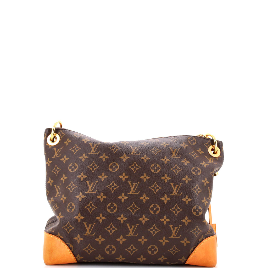 Berri Handbag Monogram Canvas PM