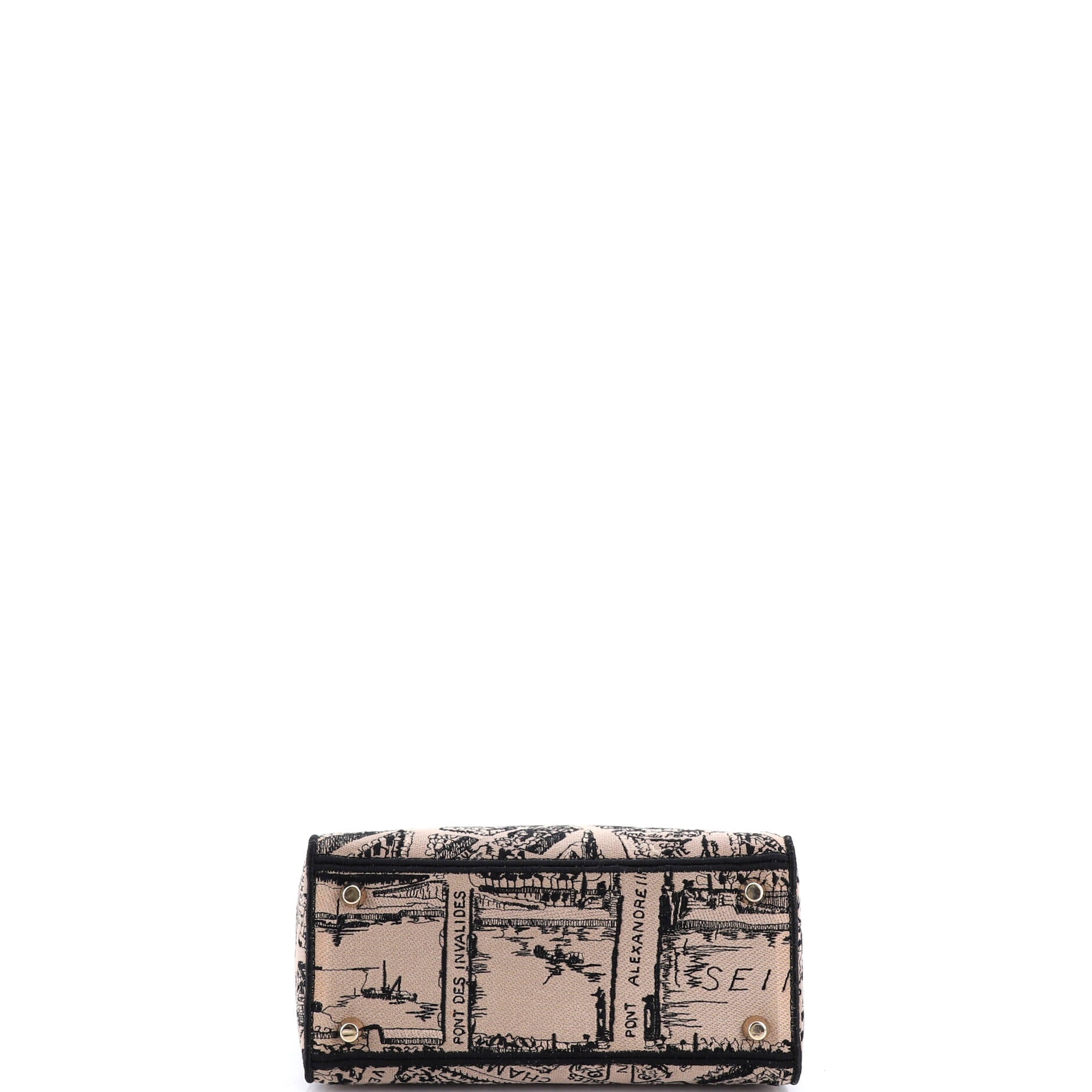 Lady D-Lite Bag Embroidered Canvas Medium