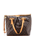 Palermo Handbag Monogram Canvas GM