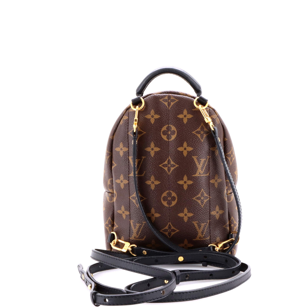 Palm Springs Backpack Monogram Canvas Mini