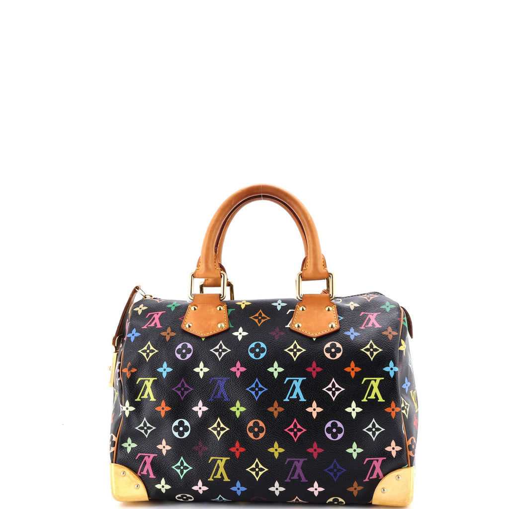Speedy Handbag Monogram Multicolor 30