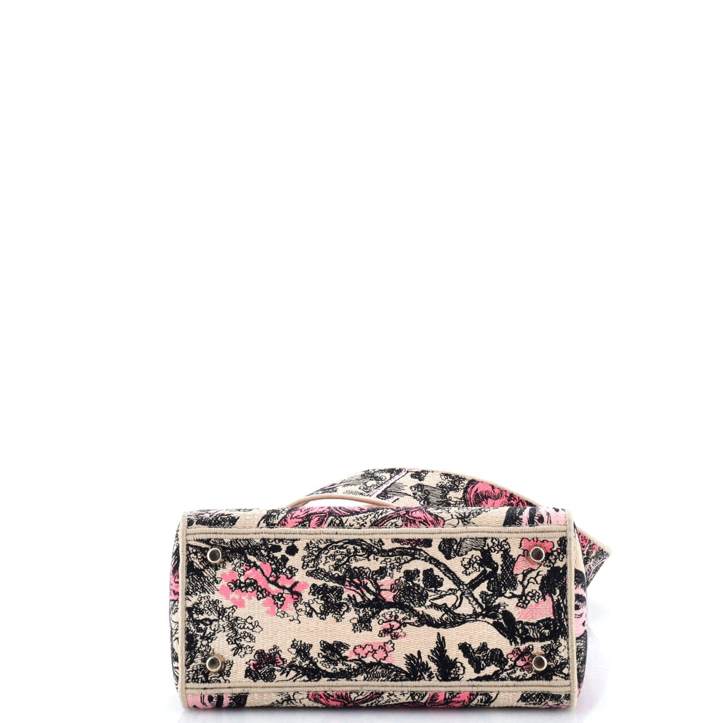 Lady D-Lite Bag Embroidered Raffia Medium