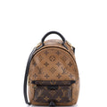 Palm Springs Backpack Reverse Monogram Canvas Mini