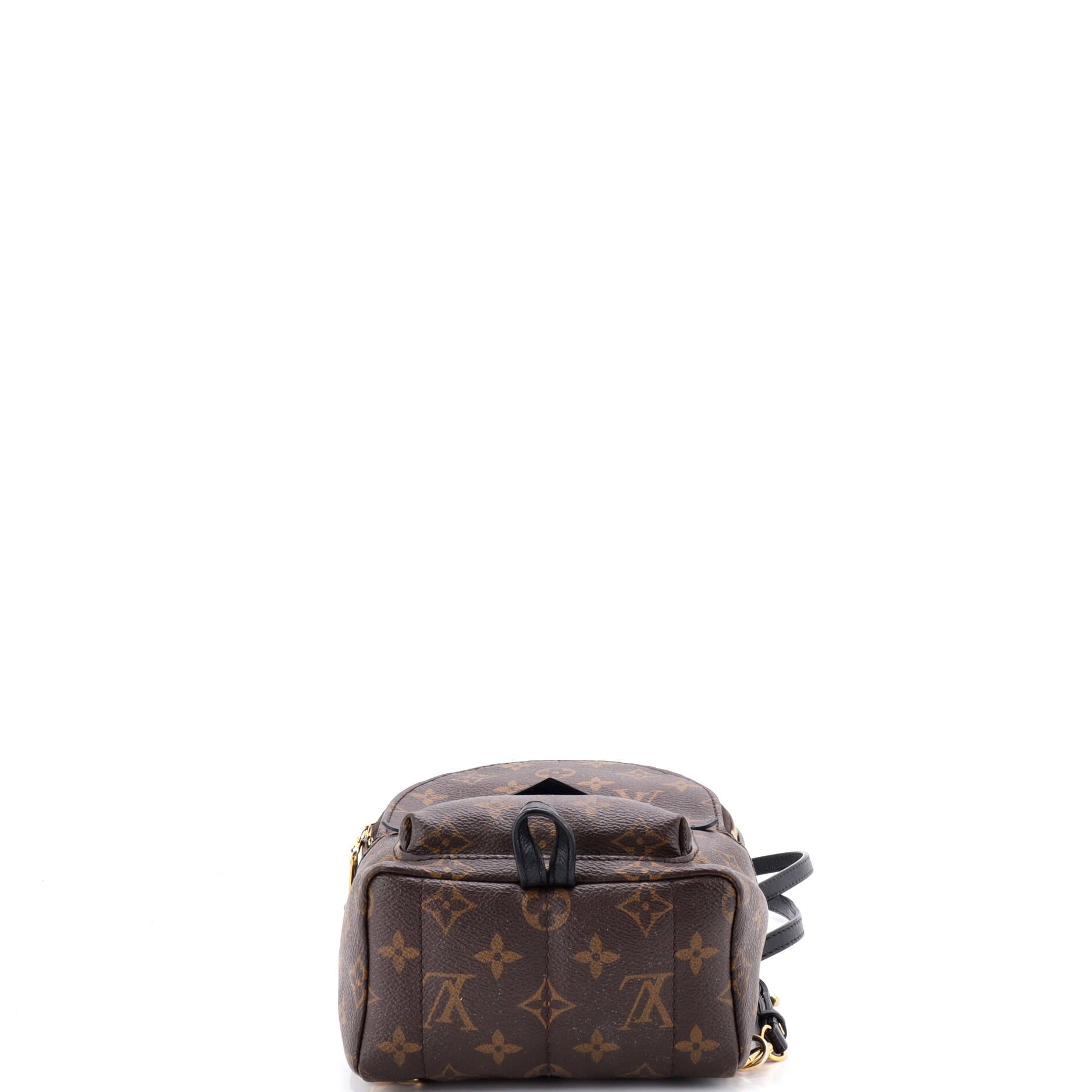 Palm Springs Backpack Monogram Canvas Mini